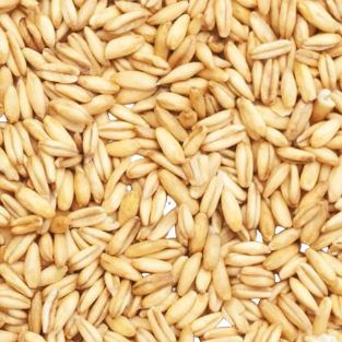 Avena Pelada para ANIMALES