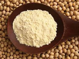 Proteína de SOJA POLVO 90%