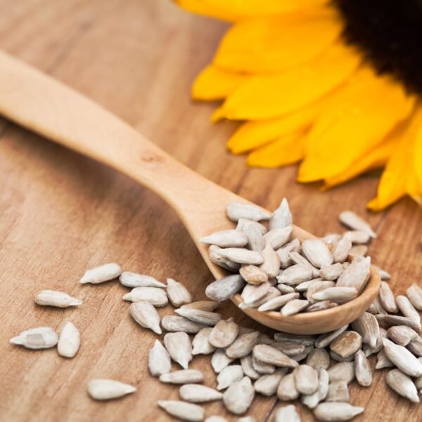 Semillas de Girasol PELADA (consumo humano)