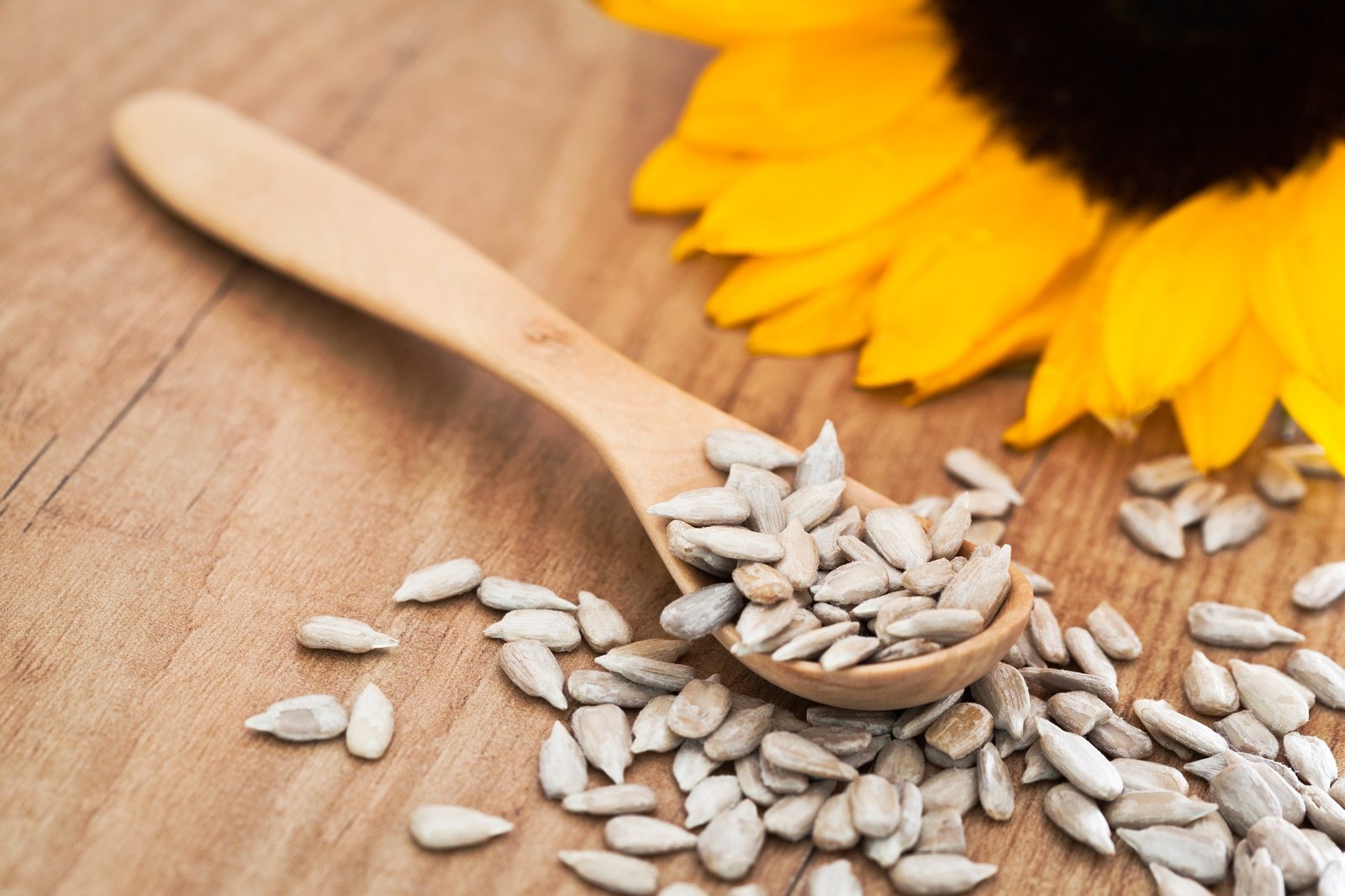Semillas de Girasol PELADA (consumo humano)