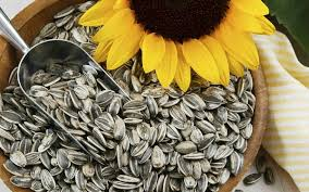 Semillas de Girasol con Cáscara p/aves (pájaros)